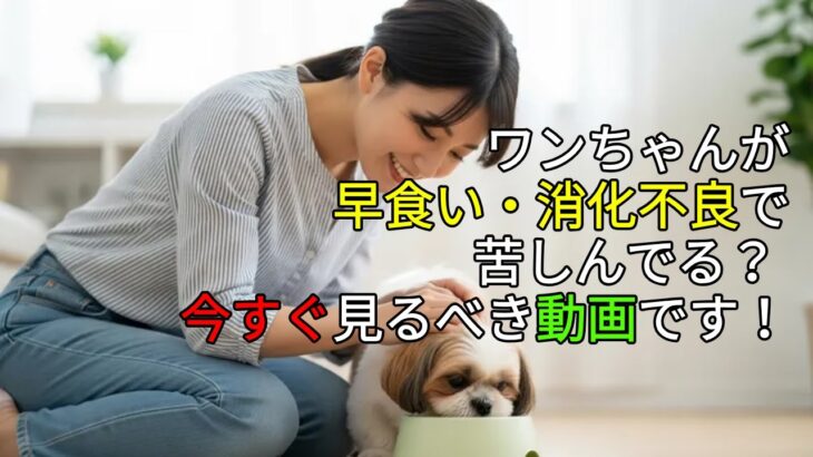 犬の早食い防止オートフィーダー｜健康を守る選び方と使い方（早食い防止・共働き必須アイテム）