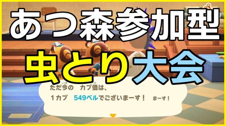 【あつ森参加型】カブ価586ベル、買い島90ベル他開放しながら虫取り大会！【初見さん大歓迎！！】