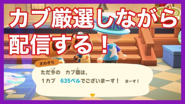 【あつ森参加型】カブ価627ベル&578ベルと買い島90ベル開けつつ厳選する👍【初見さん大歓迎！！】