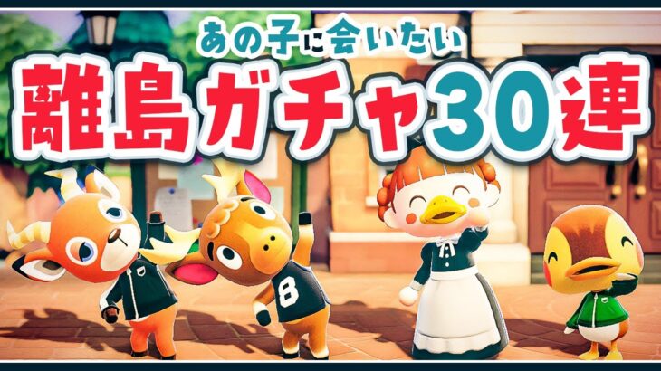 【あつ森】10ヶ月ぶりの『離島ガチャ』あの子に会いたい30連【あつまれどうぶつの森 | ライブ】