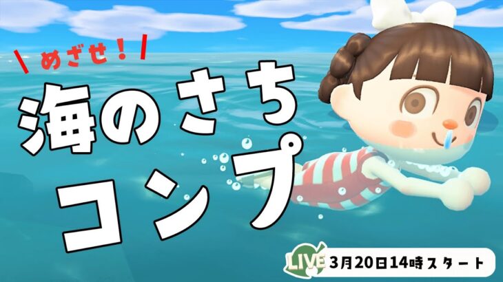 あつ森始めてから早2年！海のさちコンプリート目指す！【あつ森】【生配信】