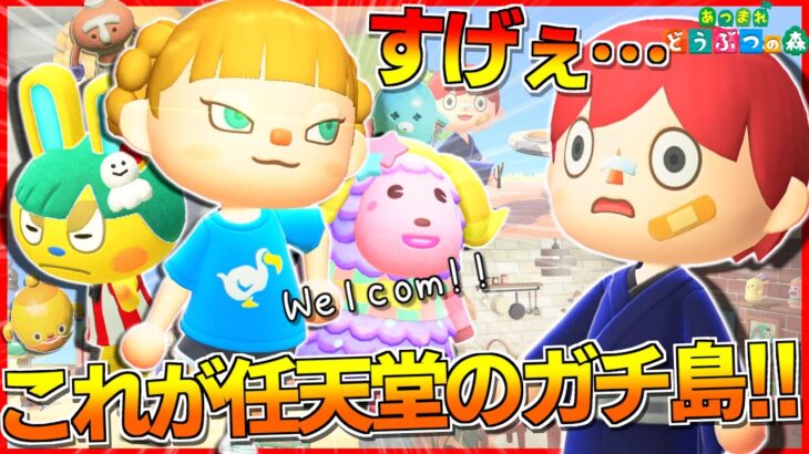 【あつ森】任天堂公式の島「Ninten島」が2周年で本気出してきた件ｗｗｗｗｗ【あつまれどうぶつ森】【島紹介】