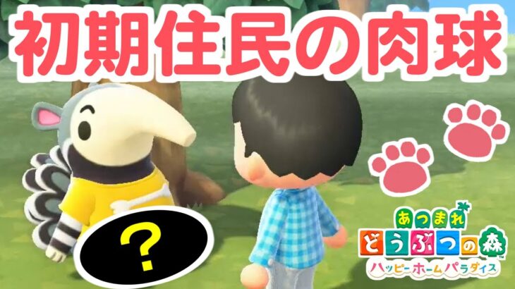 【あつ森】新しい島の初期住民の肉球が見たい…！！【２丁目】