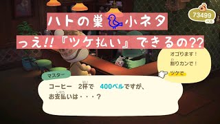 【あつ森】ハトの巣で出来ること☕隠れた小ネタを楽しんだ!!通信プレイで出来たこと♪♪【時間操作なし】