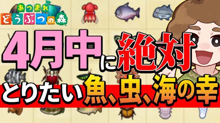 【あつ森】4月の魚、虫、海の幸まとめ！北半球はタカアシガニがラストの月!!【あつまれ どうぶつの森】【ぽんすけ】