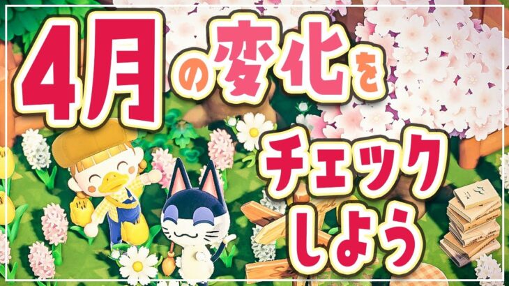 【あつ森】4月の”大”変化をチェック🌸10日間限定！限定会話もあったよ〜！【あつまれどうぶつの森 | 実況】