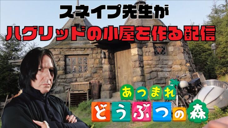 【明日はコラボ！】スネイプ先生のあつ森実況【ハグリッドの小屋建設編】