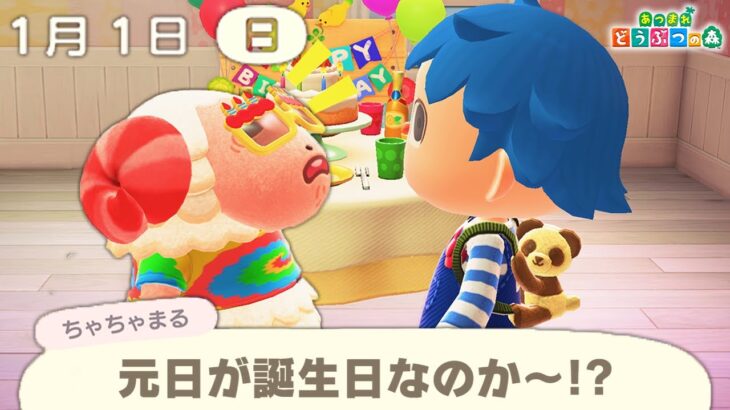 1月1日「元日」が誕生日だと特別な演出が存在するらしい！？【あつ森 / あつまれどうぶつの森】【アップデート / アプデ】「小ネタ」