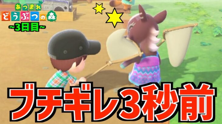 【あつ森】移住3日目にして住民を怒らせるクソ野郎は僕です。【あつまれどうぶつの森 3日目】