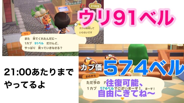 【あつ森】カブ価 574＆ウリ91(21:00あたりまで)【往復可能、自由にきてね～】