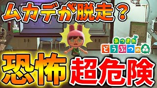 【あつ森】9割以上が知らない博物館でムカデが脱走？今さら知ったとんでもない小ネタ【あつまれどうぶつの森/攻略/実況/小技/裏技/】