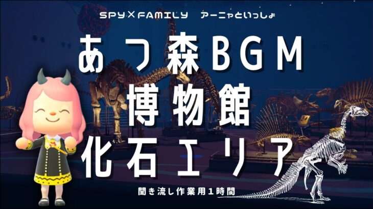 【あつ森１時間作業用】博物館：化石エリア作業用BGM【SPY×FAMILYアーニャ】