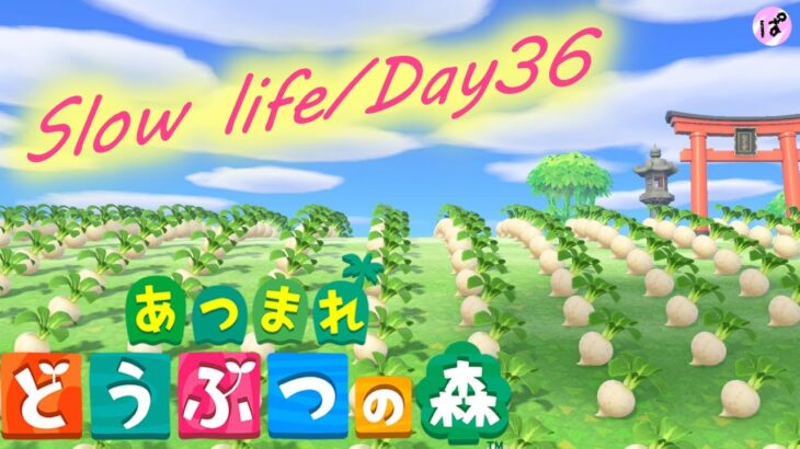 【初心者あつ森/Day36】島クリで和風エリアの改善+釣り｜#NintendoSwitch #あつまれどうぶつの森 #あつ森 #材料集め #初心者 #BGM #島クリ #和風 #離島ガチャ