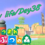 【初心者あつ森/Day38】「5月の虫残り3種でコンプ！」の巻｜#NintendoSwitch #あつまれどうぶつの森 #あつ森 #材料集め #初心者 #BGM #島クリ #和風 #離島ガチャ