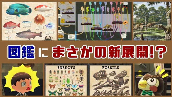 本日発表！あつ森の「図鑑」にまさかの新展開！？公開された新情報＆小ネタを集めてみた！【あつまれ どうぶつの森】@レウンGameTV