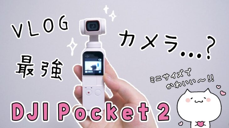 VLOG最強カメラ…？ミニサイズでかわいい💭『 DJI  Pocket 2 』が届いたから開封してく～✨カメラのアクセサリーも購入！【開封動画/くるみ】