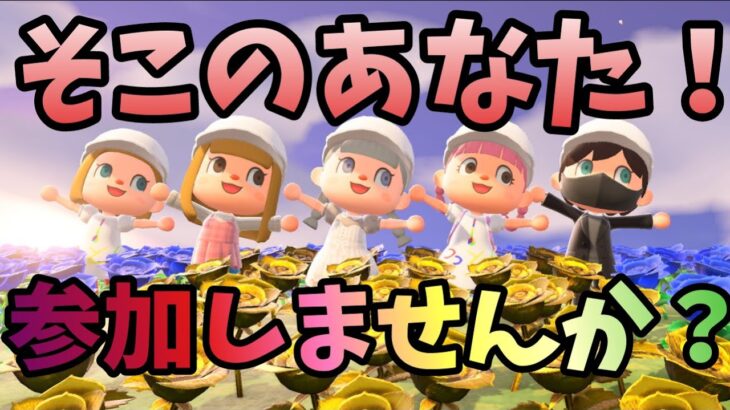 【あつ森】ユーチューバーがあなたの島に訪問します　参加者も見学して学ぼう　遊ぼう　初見さん大歓迎　ライブ配信