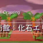 【あつ森】博物館：化石エリア【Animal Crossing: New Horizons】