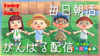 本日15時～レシピ会！あつ森朝活！【あつ森】あつまれ どうぶつの森【NintendoSwitch】