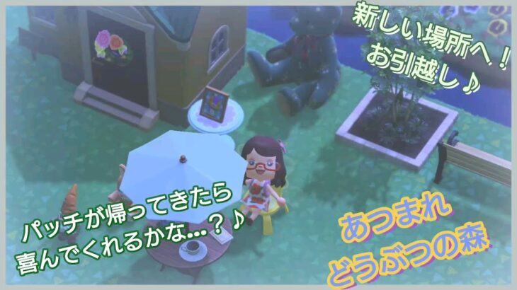 【あつ森】#231、今日はどんな島クリしようかな・・・？✨毎日あつ森配信！✨【あつまれ どうぶつの森】