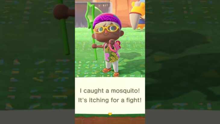 【ACNH】Catch a mosquito #Bug-Off #あつ森 #どうぶつの森 #AnimalCrossing #ACNH #NintendoSwitch