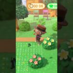 【ACNH】Never give up until the last moment! #Bug-Off #あつ森 #どうぶつの森 #AnimalCrossing #ACNH