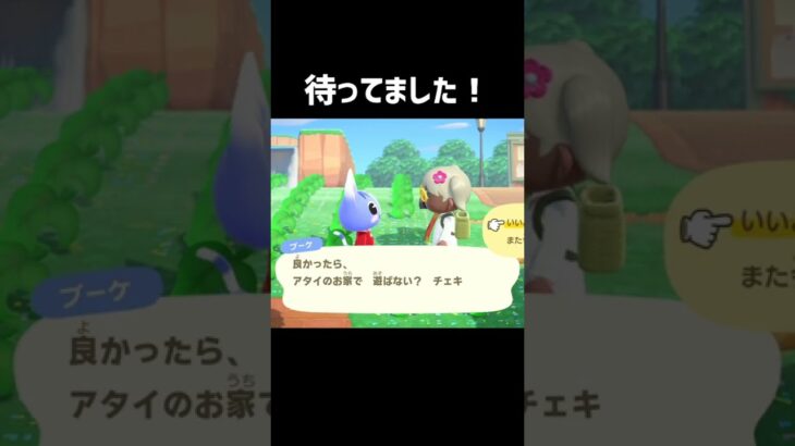 【あつ森】ブーケちゃんに「遊びにおいで！」と言われたい！#ブーケ #あつ森 #どうぶつの森 #AnimalCrossing #ACNH #NintendoSwitch