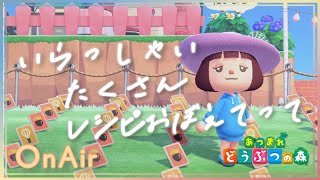 本日レシピ会！あつ森昼活！【あつ森】あつまれ どうぶつの森【NintendoSwitch】