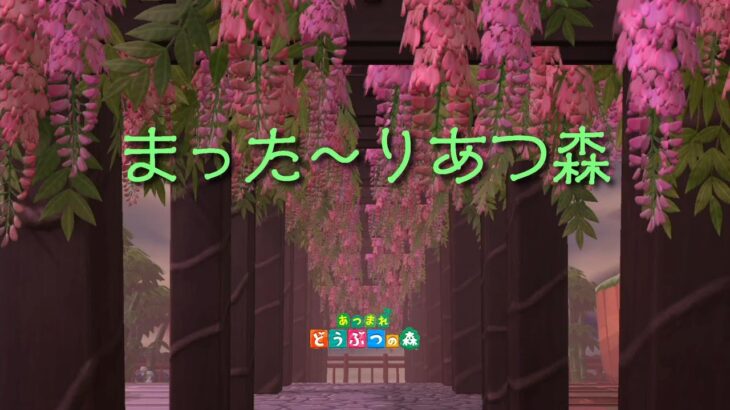 まった～り住民ポスター集めます♪準備編【あつ森】あつまれどうぶつの森♪