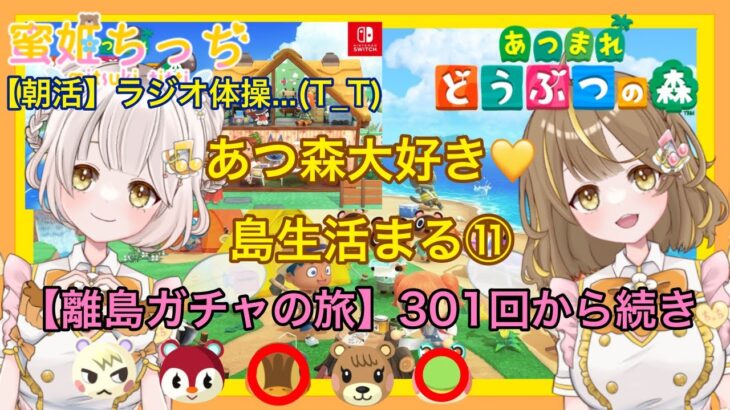 【あつ森】　今から始める　あつまれどうぶつの森　ライブ配信 ⑫　朝活　離島ガチャ301回目～　　🌼【新人VTuber】　蜜姫ちっち🍯