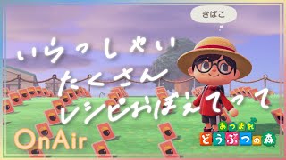 本日レシピ会！あつ森昼活！【あつ森】あつまれ どうぶつの森【NintendoSwitch】