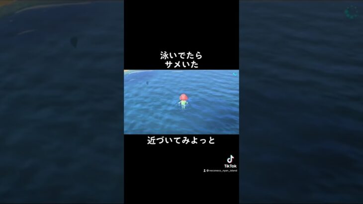 怖すぎる🦈 #acnh #あつまれどうぶつの森 #あつ森 #animalcrossing #ハピパラ #happyhomeparadise #ハッピーホームパラダイス #shorts