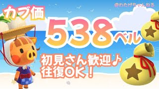 【生放送】カブ価５３８ベル島開放💰【あつ森】