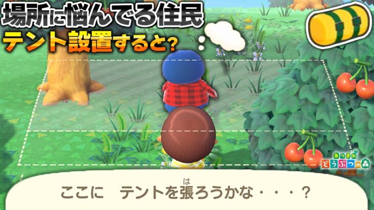 序盤のテント設置で悩んでる住民の所にテント建てて踏みつぶしたらどうなるのか？【あつ森 / あつまれどうぶつの森】「小ネタ検証」