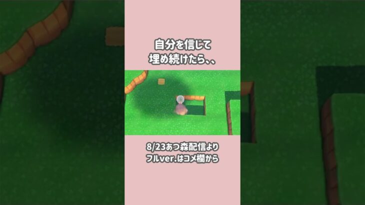 【あつ森】ジュンを閉じ込めたら逆に閉じ込められたw【島クリエイト/あつまれどうぶつの森】#shorts