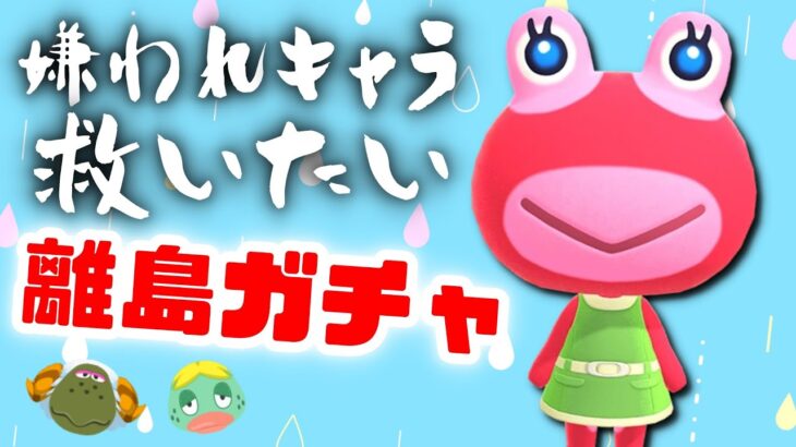 【あつ森】チョキおいでやす！あと3体！嫌われがちな住民を救いたい離島ガチャ！【コア住民ガチャ】