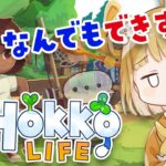 なんでもできすぎる『Hokko Life』新しい住民を勧誘する#4【ホッコライフ | Switch | スイッチ | ライブ】@じんむ