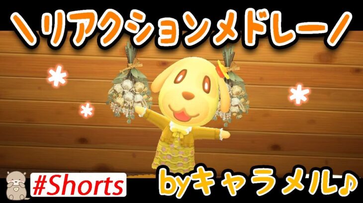 【あつ森】キャラメルのリアクションメドレー♪ #Shorts | あつまれどうぶつの森