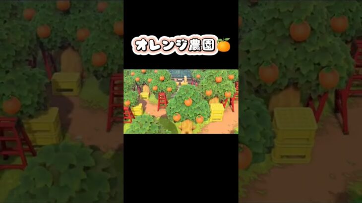 【あつ森】オレンジ農園🍊【あつまれどうぶつの森】 #shorts