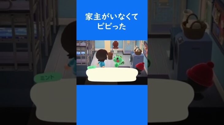 【あつ森】ちょっとびっくりした　#shorts