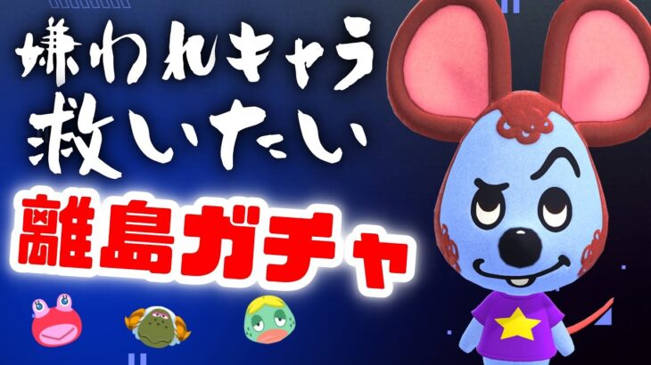 【あつ森】嫌われがちな住民を救いたい離島ガチャ！最近いい感じやから波に乗るで！【コア住民ガチャ】