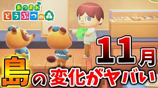 【あつ森】実は今日で〇〇入手できなくなる。。新環境に突入した11月の島の変化がヤバい【あつまれどうぶつの森/攻略/実況/bgm/島クリエイター/島紹介/アプデ/新要素/新情報】