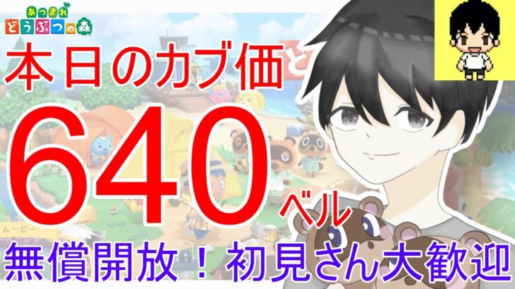 【あつ森】カブ価640ベルを無償開放。往復OK！視聴者参加型【あつまれどうぶつの森】【ライブ配信】