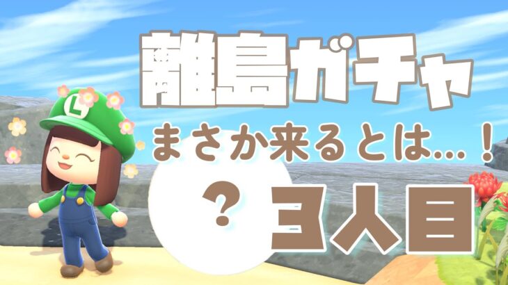 【あつ森】初めての離島ガチャでたったの〇島目で３人目の住民勧誘【ACNH/AnimalCrossing/Nintendo】