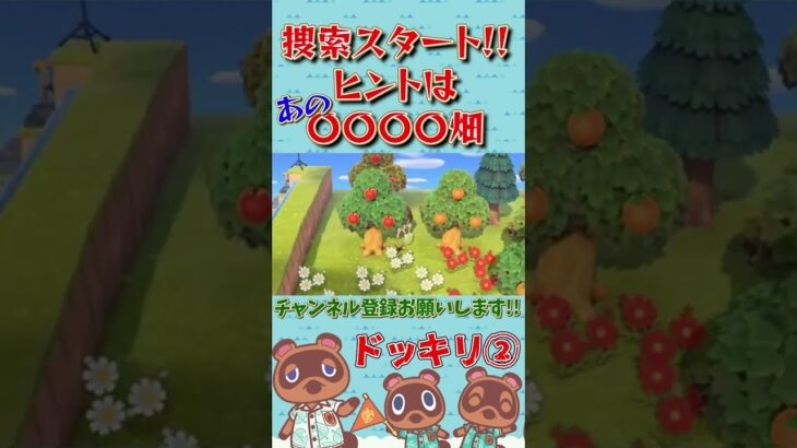 【あつ森】捜索開始！ヒントは過去動画で紹介した”〇〇〇〇畑”②【島クリエイター】【あつまれどうぶつの森】【Animal Crossing New Horizons】#Shorts