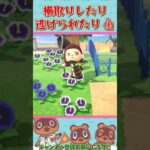 【あつ森】住民から虫を横取りする女島クリエイター：むい【あつまれどうぶつの森】【Animal Crossing New Horizons】#Shorts
