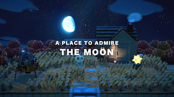 【あつ森】ルナ-お月見を楽しみたい  Ruby – A Place to Admire the Moon | ハピパラ  島クリエイト  Animal Crossing