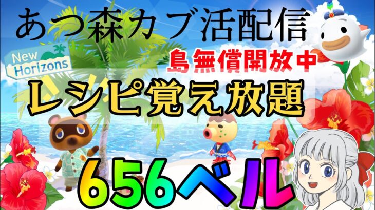 【あつ森】カブ活♪カブ価６５６ベル💰レシピ覚え🍳３分間♪【視聴者参加型】