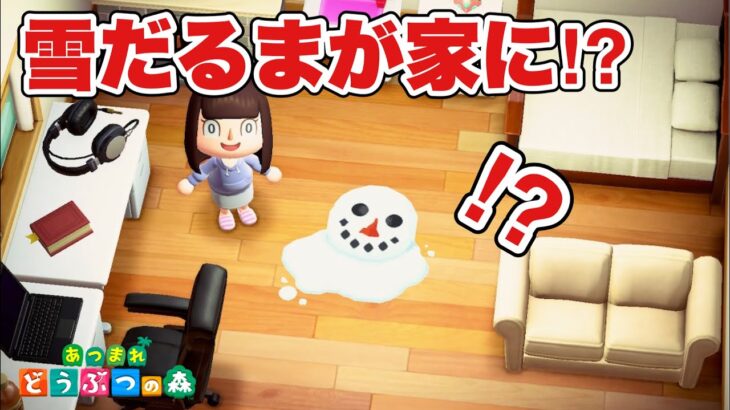 【あつ森】雪だるまが家に遊びに来た！？【あつまれどうぶつの森】