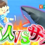 【あつ森】村人 vs サメ【あつまれ どうぶつの森】